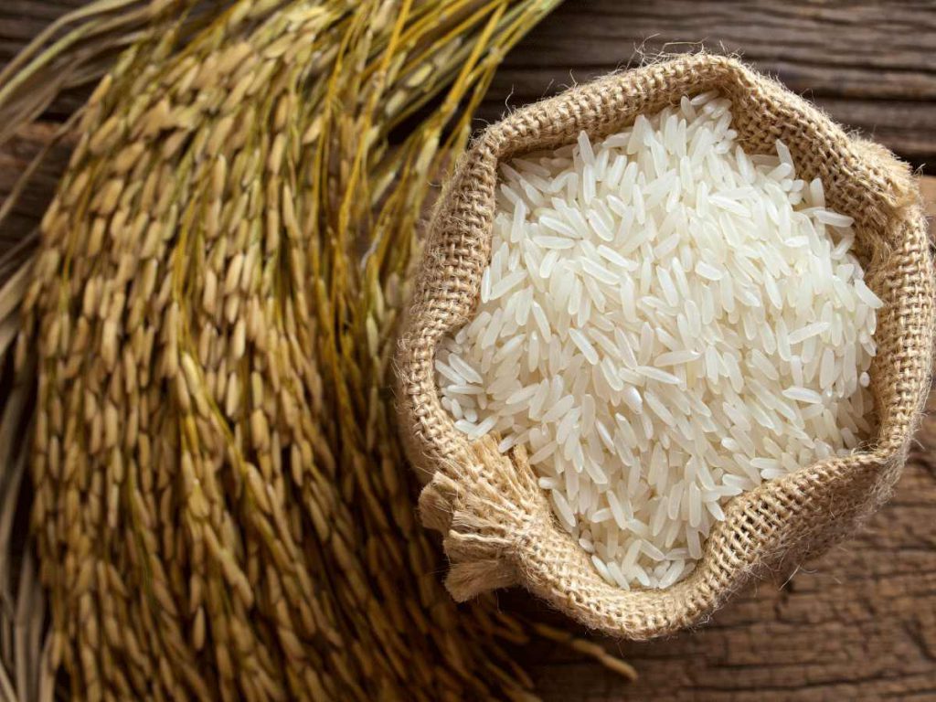 خرید عمده آرد برنج- با خواص برنج بیشتر آشنا شوید