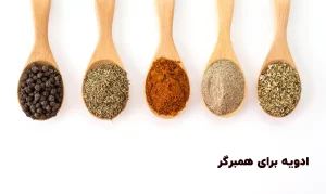 ادویه همبرگر دست ساز